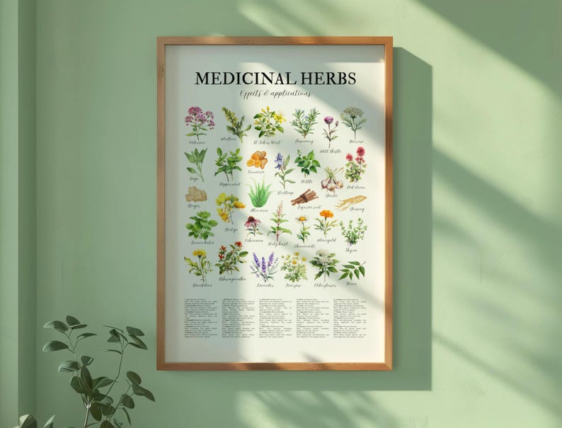 il_794xN.7217361277_t2bk.jpg Medicinal Herbs Wall Poster - Image 1