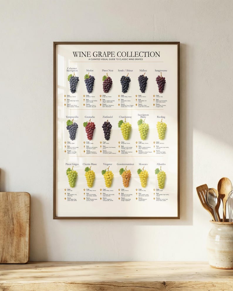 il_794xN.8251774387_t6gi.jpg Wine Grape Varieties Poster - Image 1